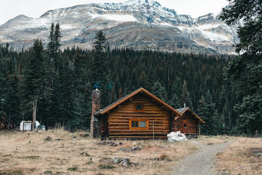 A cozy log cabin surrounded by evergreen forest with a mountain backdrop in Field, BC, Canada.