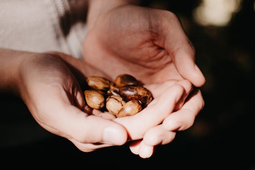 A close-up of hands gently holding acorns, highlighting nature and harvest themes.